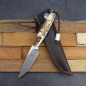 Preview: Bateleur elegant leisure knife with handle made of colored warthog tusk - Arno Bernard Knives