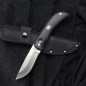 Preview: Sale - EKA Swingblade black Sandvik 12C27