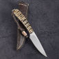 Preview: Fin & Feather with mammoth molar by Arno Bernard Knives