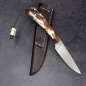 Preview: Fin & Fur colored with warthog tusk incl. leather sheath EDC knife with N690 steel
