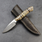 Preview: Galago mammoth molar - Arno Bernard Knives small EDC knife with N690 steel and ostrich leather sheath