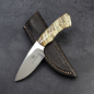 Preview: Gecko Arno Bernard Knives mammoth molar EDC knife N690 steel with leather sheath