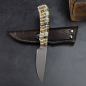 Preview: Jackal - Arno Bernard Knives high-quality hunting and collector's knife mammoth molar ostrich leather