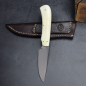 Preview: Jackal - Arno Bernard Knives tolles Freizeitmesser in N690 Stahl mit Warzenschweinstoßzahn in Natur