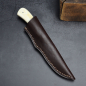 Preview: Jackal - Arno Bernard Knives tolles Freizeitmesser in N690 Stahl mit Warzenschweinstoßzahn in Natur