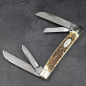 Preview: Jim Bowie 4pcs. Congress pocket knife with stag horn - Kopie