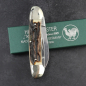 Preview: Sale - Hen & Rooster Canoe pocket knife with stag horn - Robert Klaas