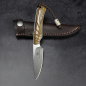 Preview: Marmoset Arno Bernard Knives schmales EDC Messer aus N690 mit Griff Griaffenknochen