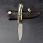 Preview: Marmoset - Arno Bernard Knives - EDC Knife N690 Warthog Tusk dyed **