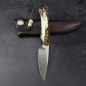 Preview: Marmoset - Arno Bernard Knives - EDC Knife N690 Warthog Tusk dyed **