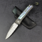 Preview: 24-063 Rinkhals - Arno Bernard Knives - Damascus steel titanium slipjoint pocket knife with abalone - First time!