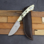 Preview: Das Sable - Ein Jagdmesser von Arno Bernard knives mit Warthog dyed und Lederscheide