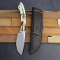 Preview: Das Sable - Ein Jagdmesser von Arno Bernard knives mit Warthog dyed und Lederscheide