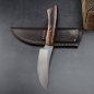 Preview: Springbok model - high-quality hunting knife in skinner form by Arno Bernard Knives with Ironwood