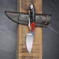 Preview: Squirrel - Arno Bernard Knives EDC knife with 2 colored Kudu bone handle orange/brown