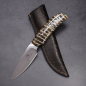 Preview: Wild Dog - Arno Bernard Knives hunting knife with mammoth molar and leather sheath