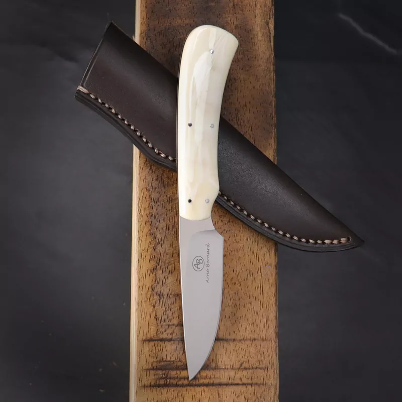 Jackal - Arno Bernard Knives great leisure knife in N690 steel with natural warthog tusk