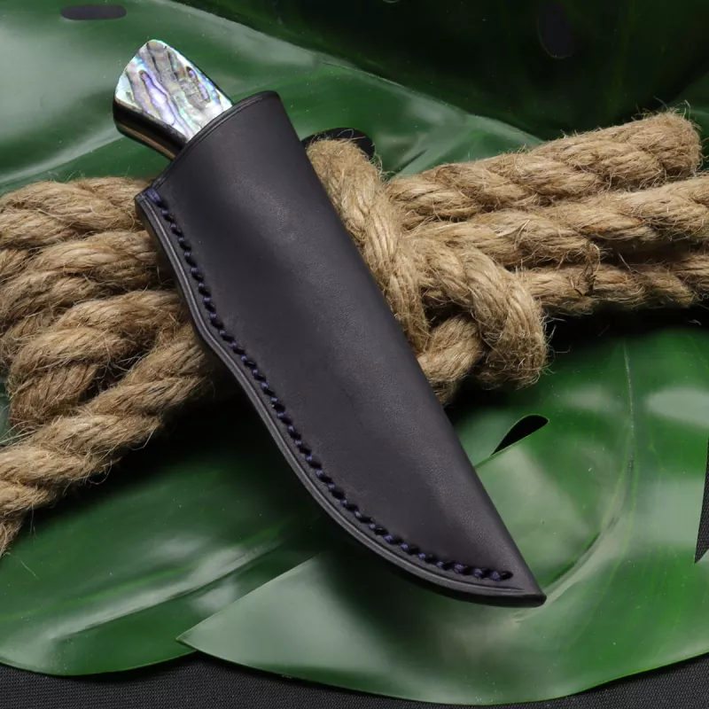 For the first time Gecko from Arno Bernard Knives with Abalone N690 steel EDC knife with leather sheath