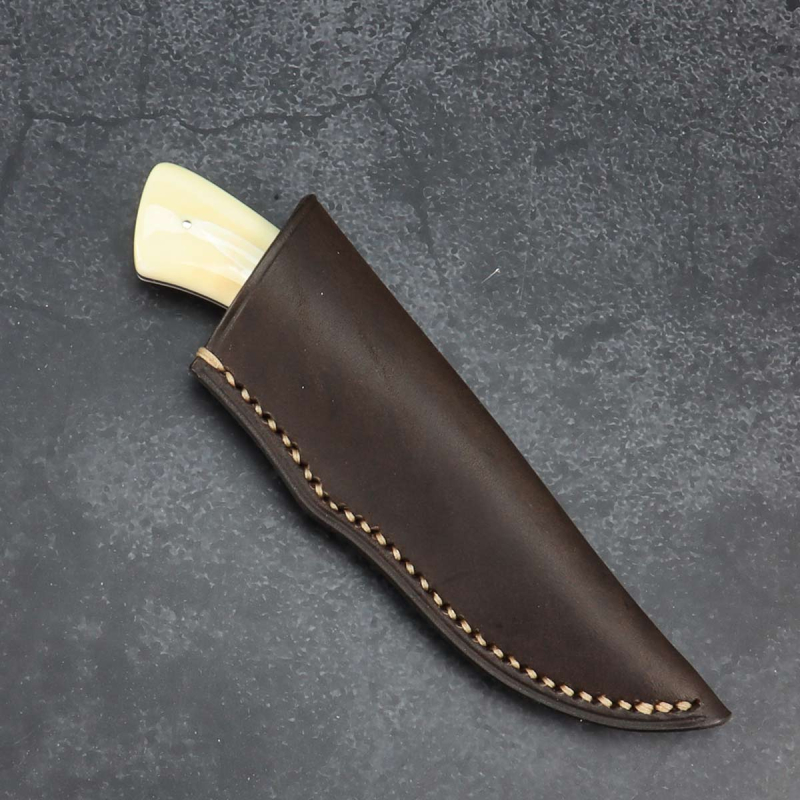Gecko Arno Bernard Knives Warthog tusk N690 with leather sheath