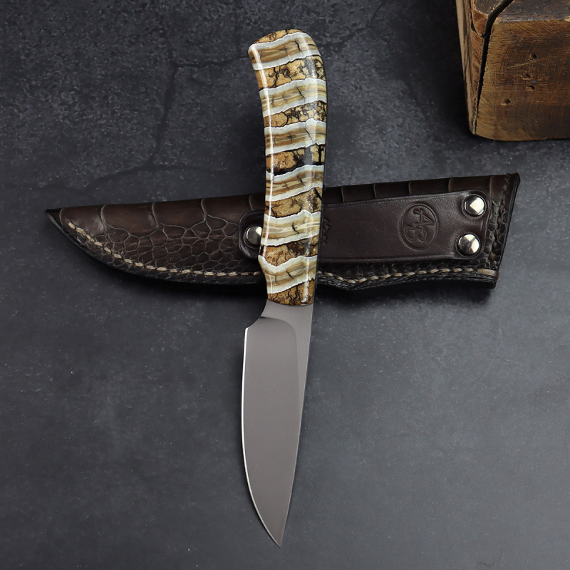 Jackal - Arno Bernard Knives high-quality hunting and collector's knife mammoth molar ostrich leather