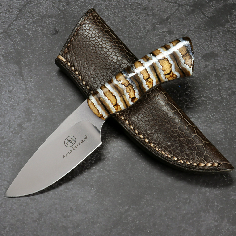 Gecko Arno Bernard Knives mammoth molar EDC knife N690 steel with leather sheath