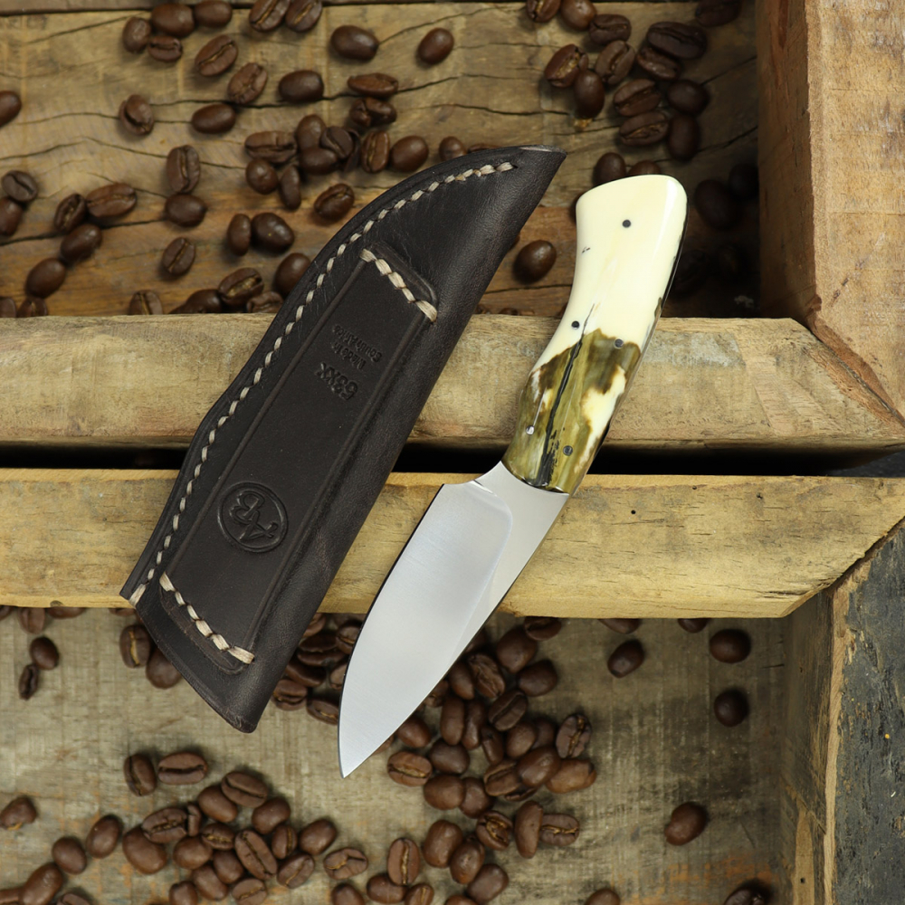 Gecko Arno Bernard Knives Warzenschweinstoßzahn EDC Messer gefärbt N690 Stahl mit Lederscheide