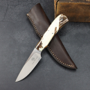 Arno Bernard Jackal warthog tusk colored leisure knife with N690 steel